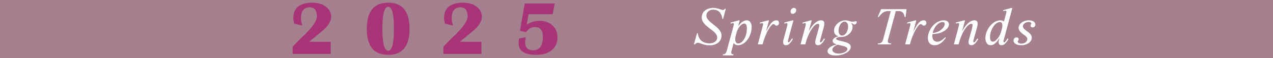2025_Spring_Trends_Banner