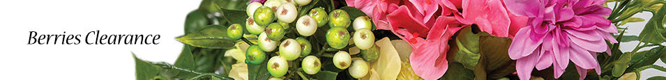 Berries-Clearance
