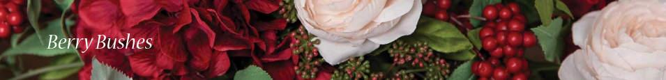 Berry_Bushes