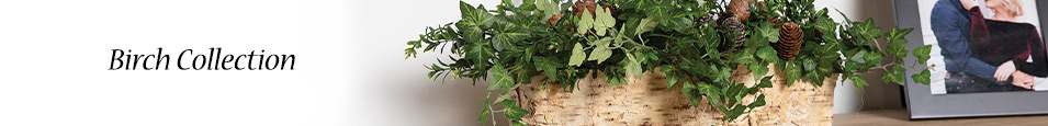 Birch-Collection