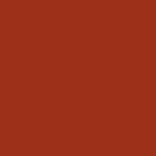 Burnt Coral Burnt_Coral