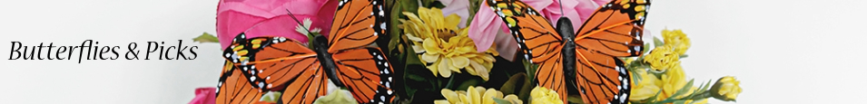 Butterflies_and_Picks