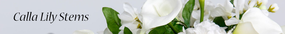 Calla-Lily-Stems