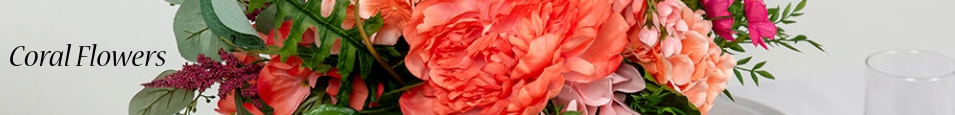 Coral_Flowers