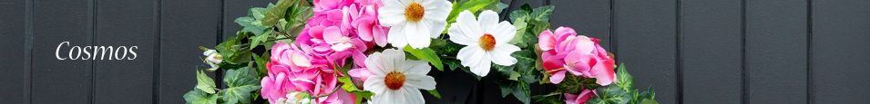 Cosmos