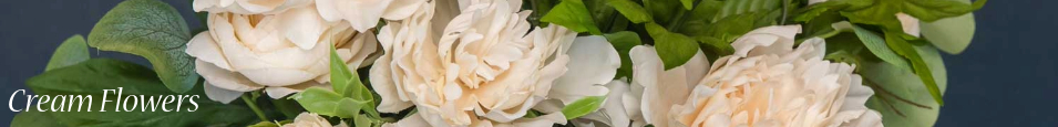 Cream_Flowers