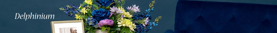 Delphinium