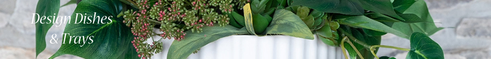Design_Dishes_and_Trays