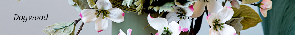 Dogwood