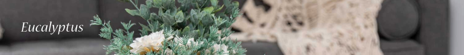 Eucalyptus