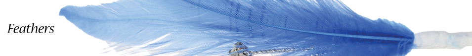 Feathers