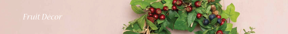 Fruit_Decor