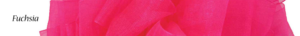 Fuchsia-Ribbon