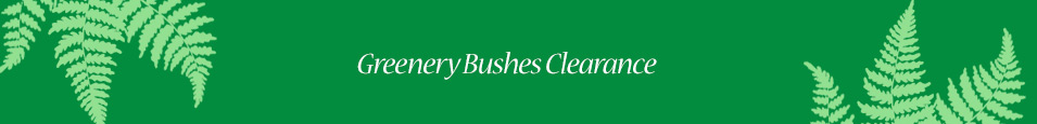Greenery-Bushes-Clearance