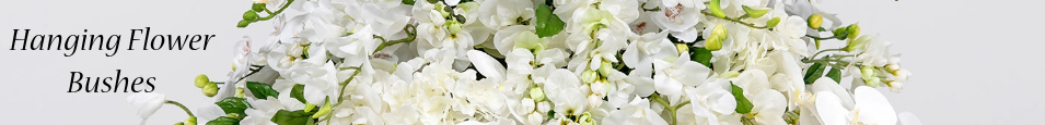 Hanging_Flower_Bushes