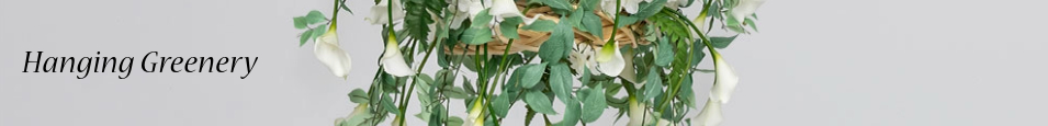 Hanging_Greenery