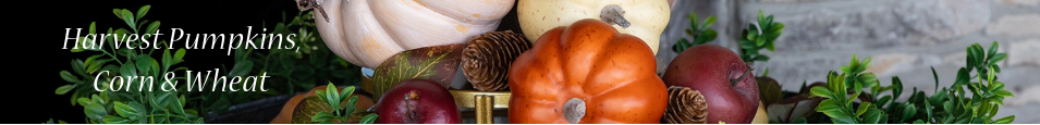 Harvest_Pumpkin_Corn_Wheat_1
