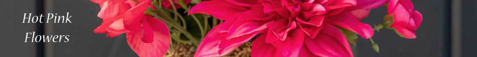 Hot_Pink_Flowers