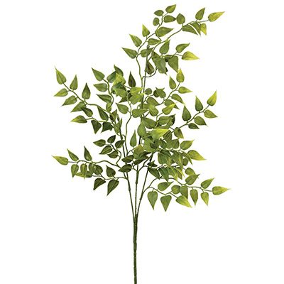 Ind-_0000_Green_Stem2