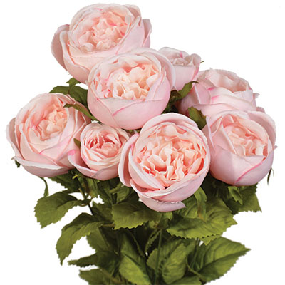 Ind-_0004_Flower_Bush