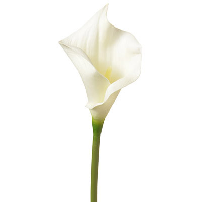 "Real Touch" (Polyuretahne) Flower White