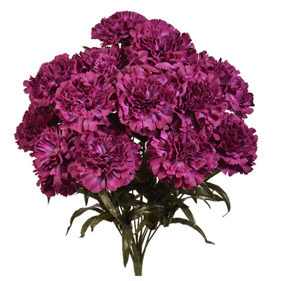 Pongee Flower Purple Pongee Flower