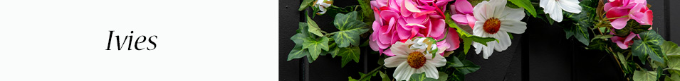 Ivies