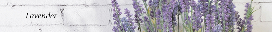 Lavender