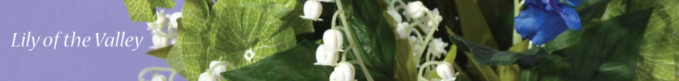 Lily_of_the_Valley
