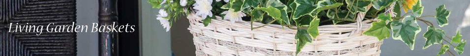 Living_Garden_Baskets