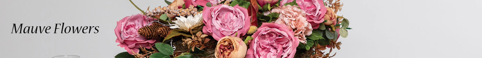 Mauve_Flowers