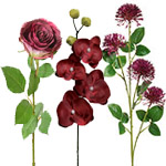 Shop Flowers by Type