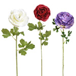 Shop Flowers by Color