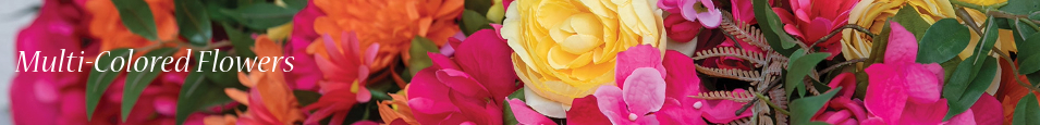 Multi_colored_flowers