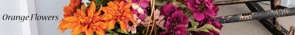 Orange_Flowers