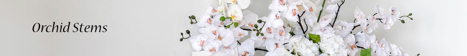Orchid_Stems