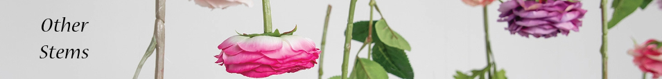 Other_Stems