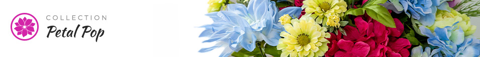 Petal-Pop_collection-banner