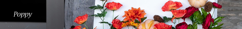 Poppy