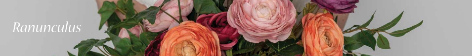 Ranunculus