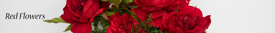 Red_Flowers