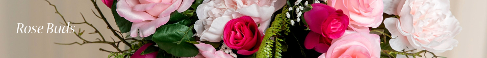 Rose_Buds