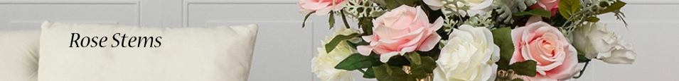 Rose_Stems