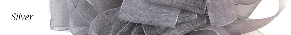Silver-Ribbon