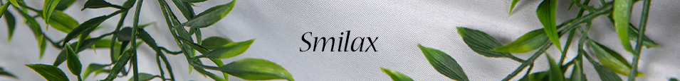 Smilax