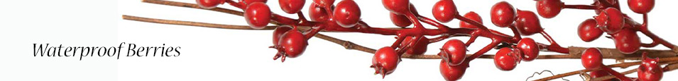 Waterproof-Berries