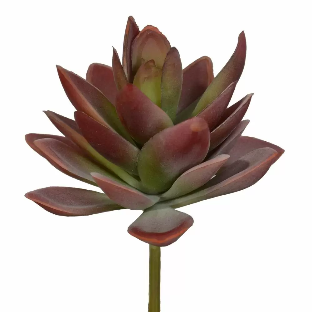 ca5107rdgr_jpg