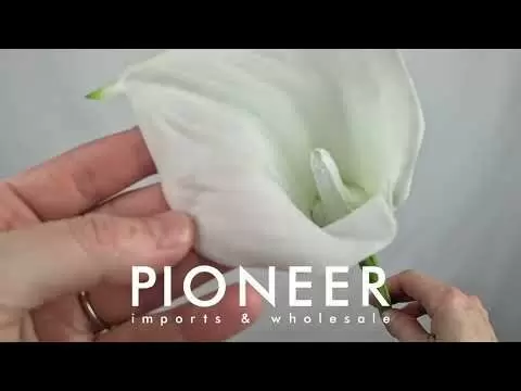Calla Lily Stem | 19