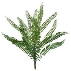 Boston Fern Bush x3, 29" - Green