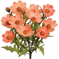 Cosmos Bush x14, 18" - Coral